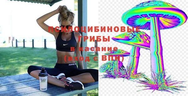 мяу мяу мука Новокубанск